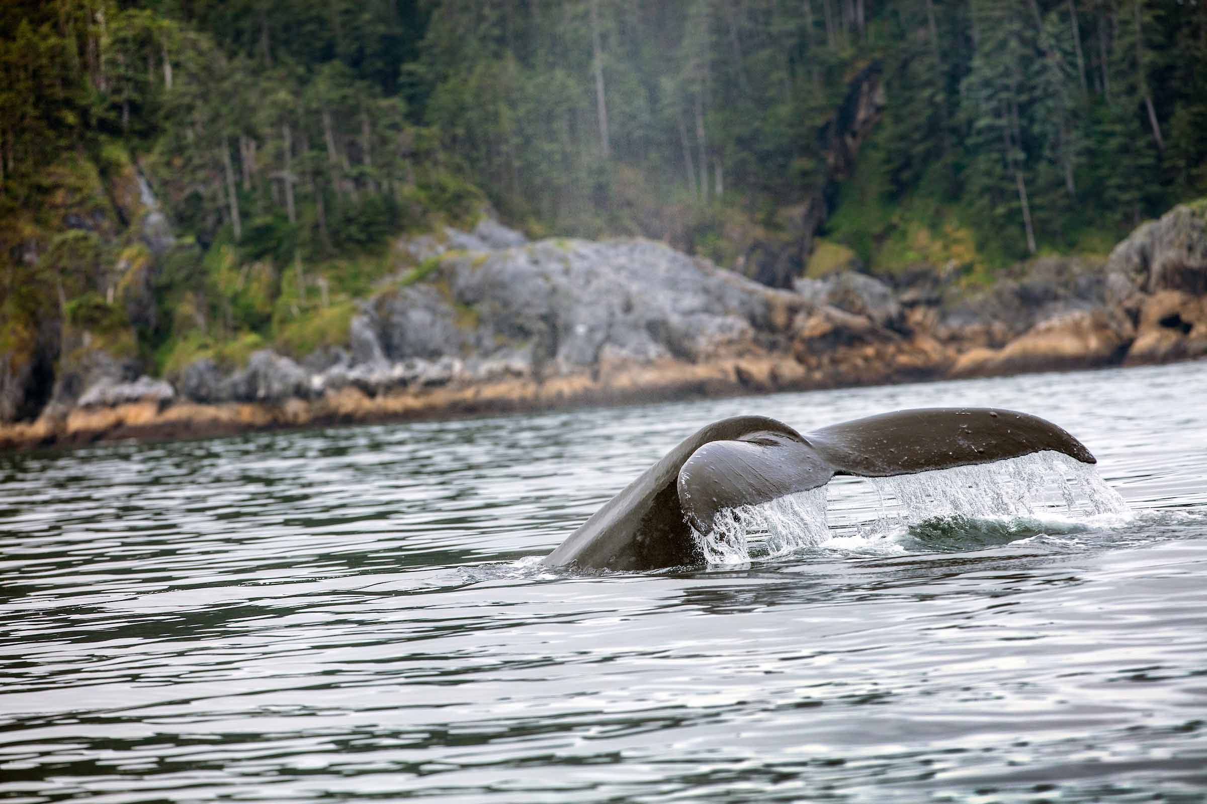 Contact the Crew at Waterfall Resort Alaska